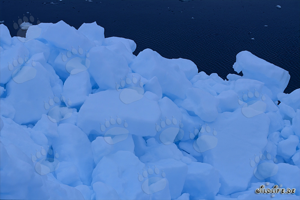 Arctic Sea Ice at Cape Anne