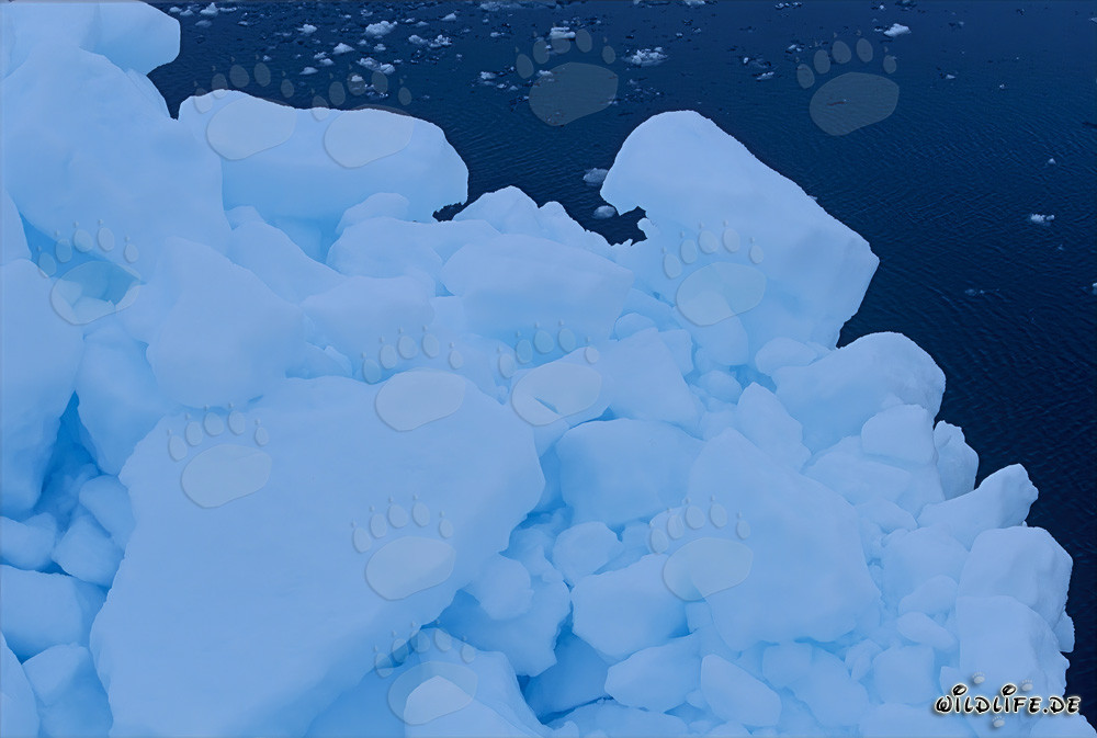 Magische Eislandschaft am Cape Anne in Kanada