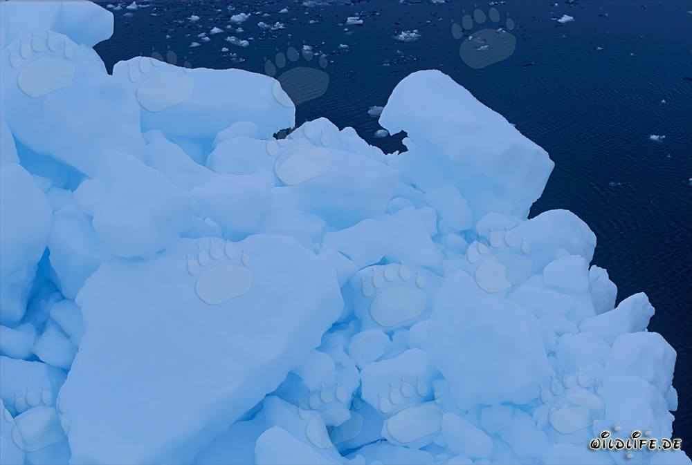 Magical Ice Landscape at Cape Anne in Canada
