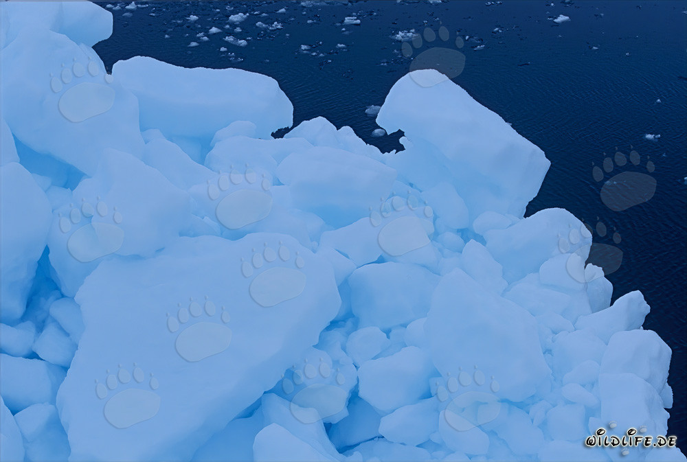 Paisaje de hielo mágico en Cape Anne en Canadá