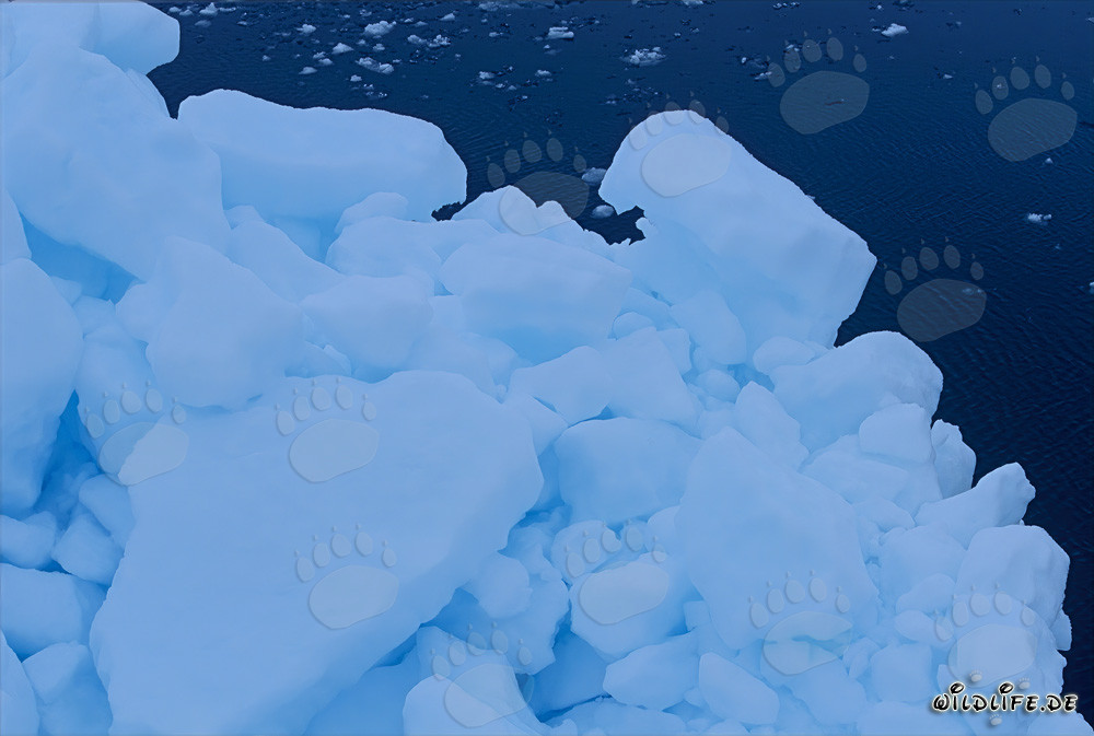 Paysage de glace magique au Cap Anne au Canada