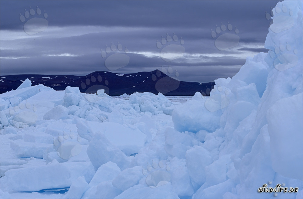 Pack ice landscape in the Arctic