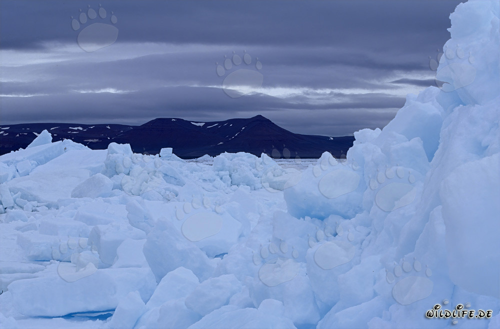 Paisaje de hielo en el Ártico