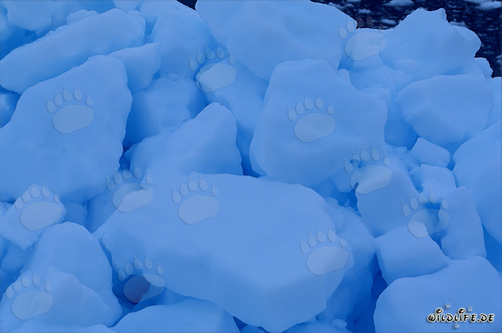 Majestic Pack Ice in the Icy Arctic