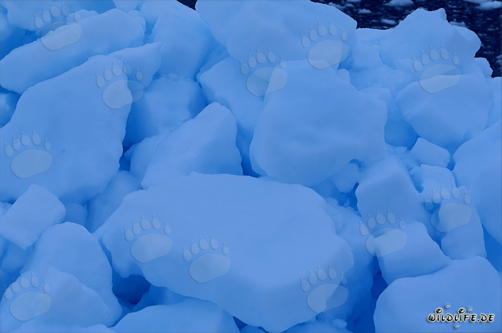 Pack de glace majestueux dans l'Arctique glacial