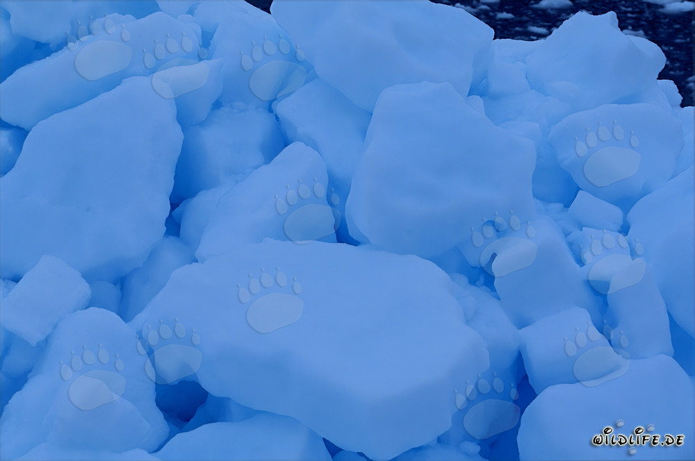 Pack de hielo majestuoso en el Ártico helado