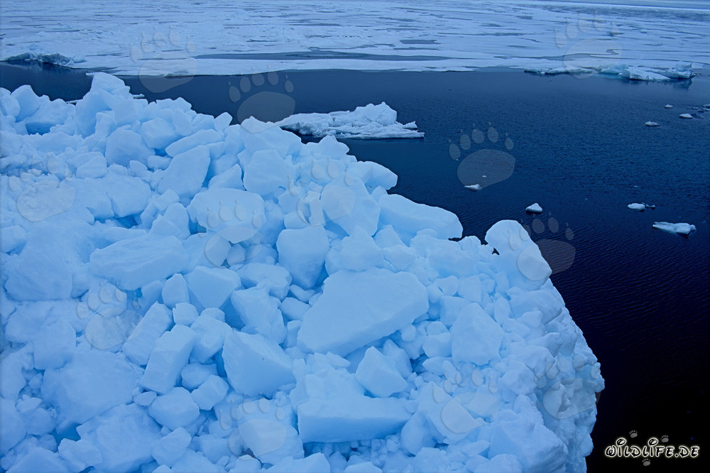 Fascinating Pack ice landscape at Cape Anne