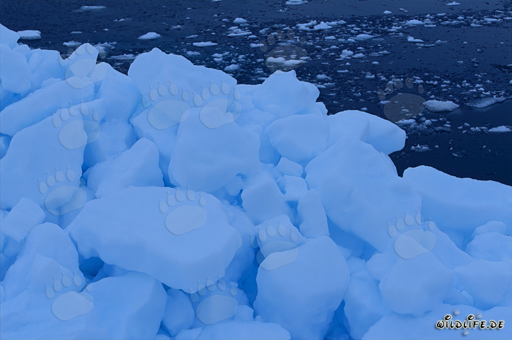 Formaciones de hielo marino extrañas en el Cabo Anne en Canadá