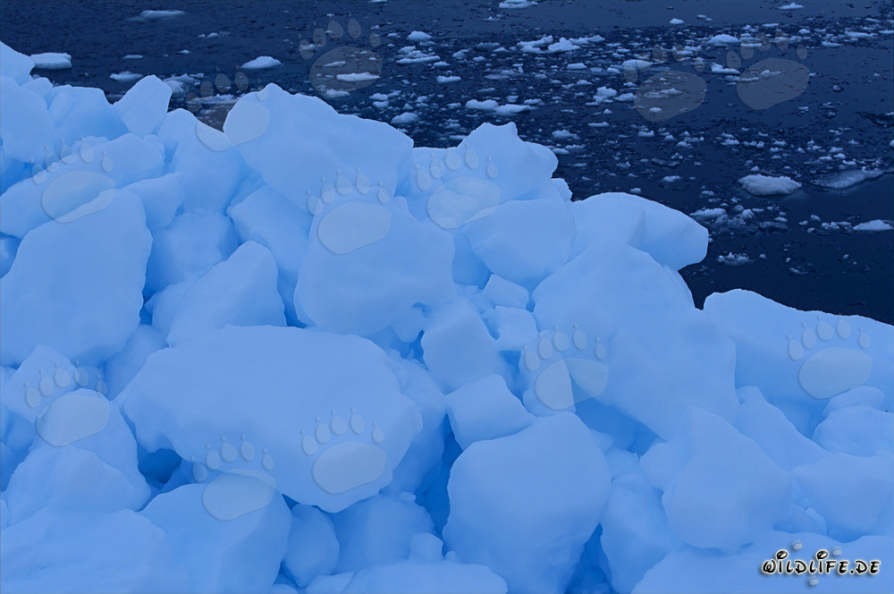 Formations de glace de mer bizarres au Cap Anne au Canada