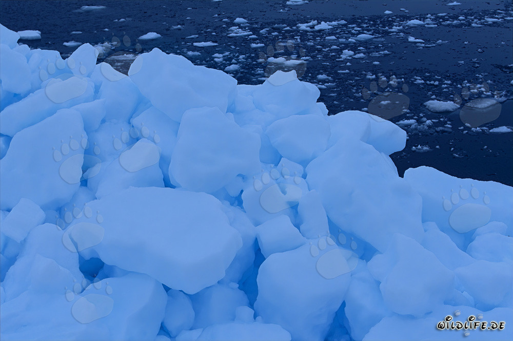 Formazioni di pack-ice bizzarre al Capo Anne in Canada