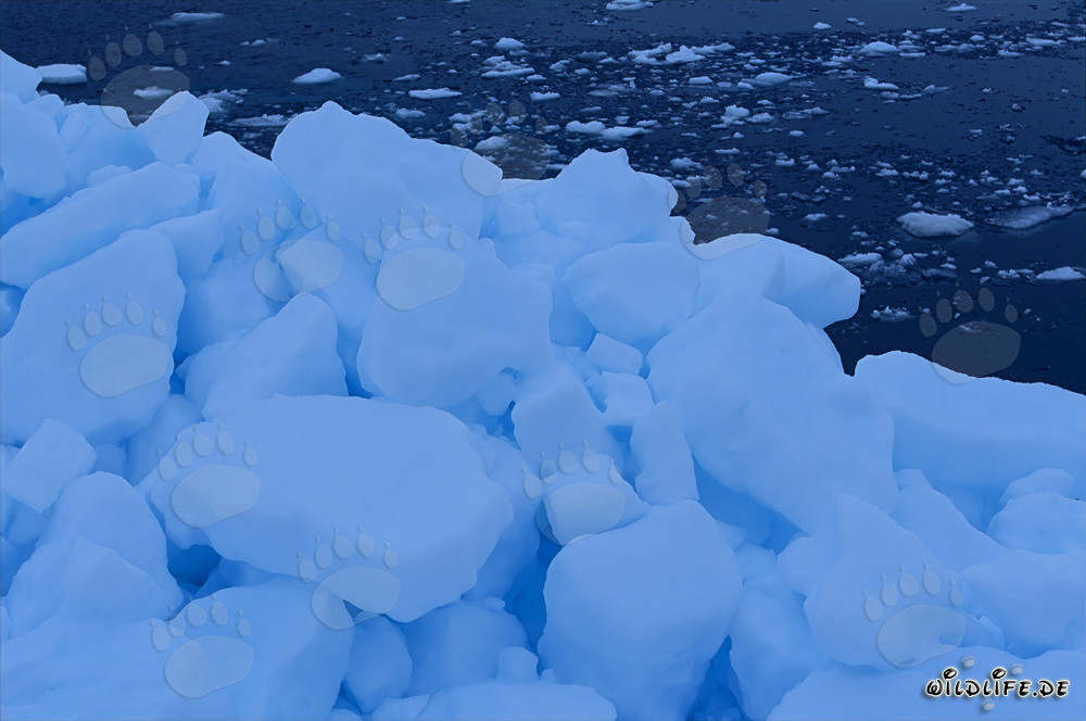 Bizarre Packeisformationen am Cape Anne in Kanada