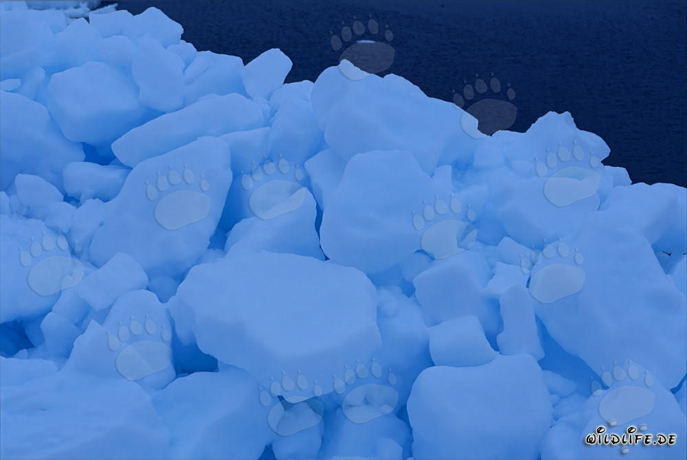 Tierra de hielo majestuosa en Cape Anne