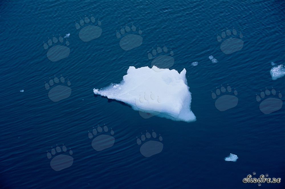 Bizarre ice floe at Cape Anne in Canada