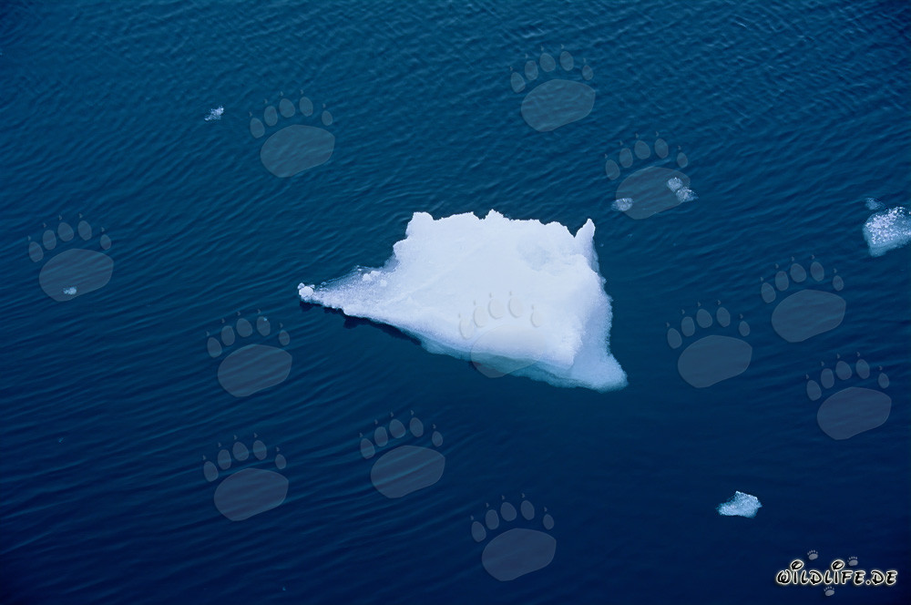 Bizarro témpano en el cabo Anne en Canadá