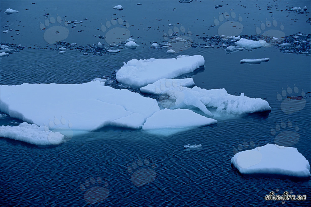 Imponenti banchi di ghiaccio maestosi al Capo Anne in Nunavut, Canada
