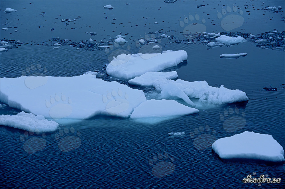 Immenses blocs de glace majestueux au Cap Anne au Nunavut, Canada