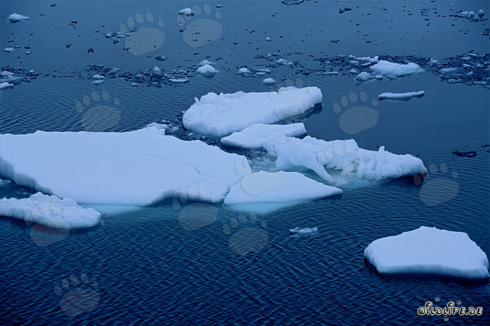 Majestätische Eisschollen am Cape Anne in Nunavut, Kanada