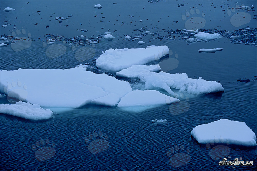 Majestic sea ice at Cape Anne in Nunavut, Canada