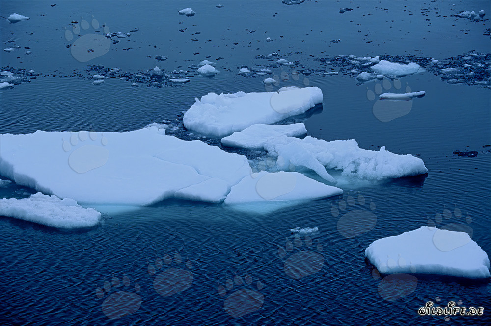 Impresionantes témpanos de hielo majestuosos en el Cabo Anne en Nunavut, Canadá