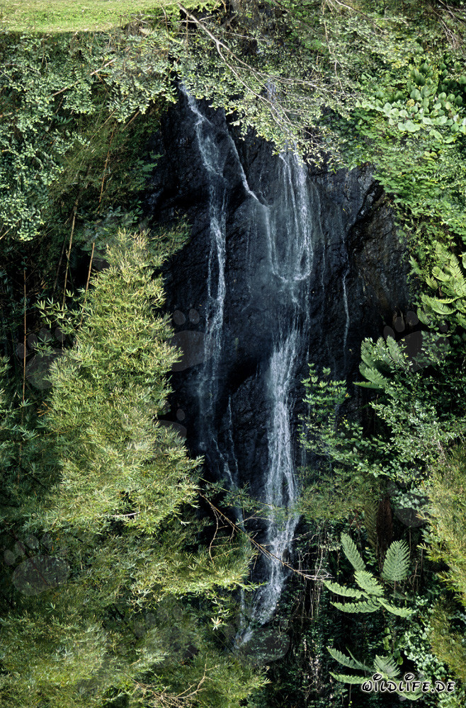 Cascada pintoresca en la exuberante selva de Fiji