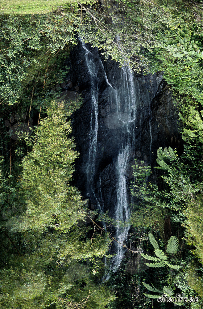 Malerischer Wasserfall im üppigen Regenwald von Fiji