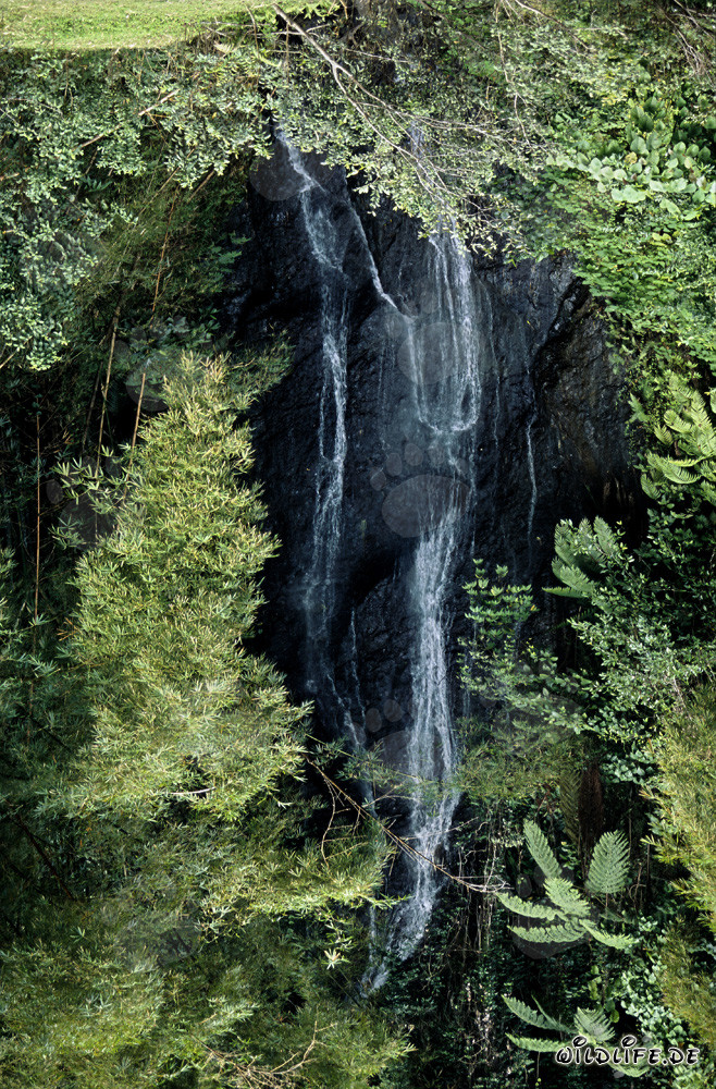 Picturesque Waterfall in the Lush Rainforest of Fiji