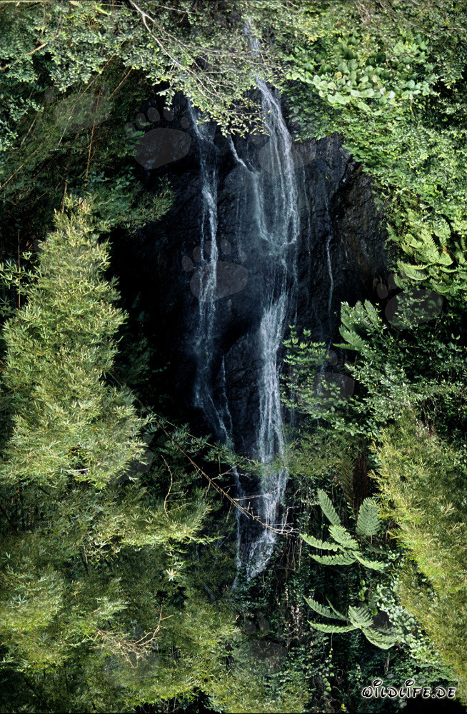 Idyllischer Wasserfall im üppigen Regenwald von Fiji