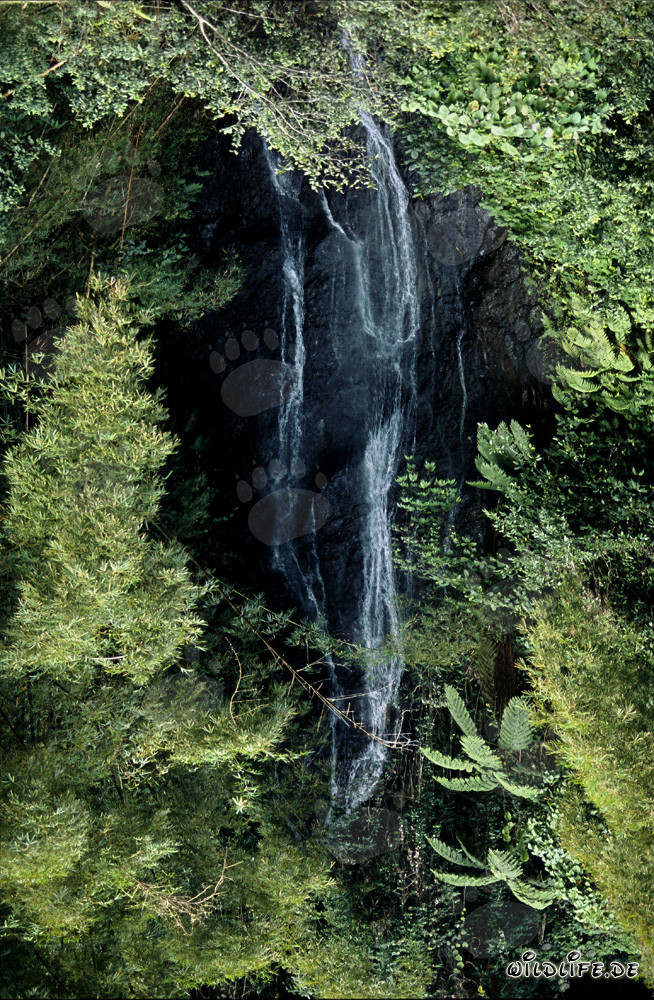 Idyllic Waterfall in the Lush Rainforest of Fiji