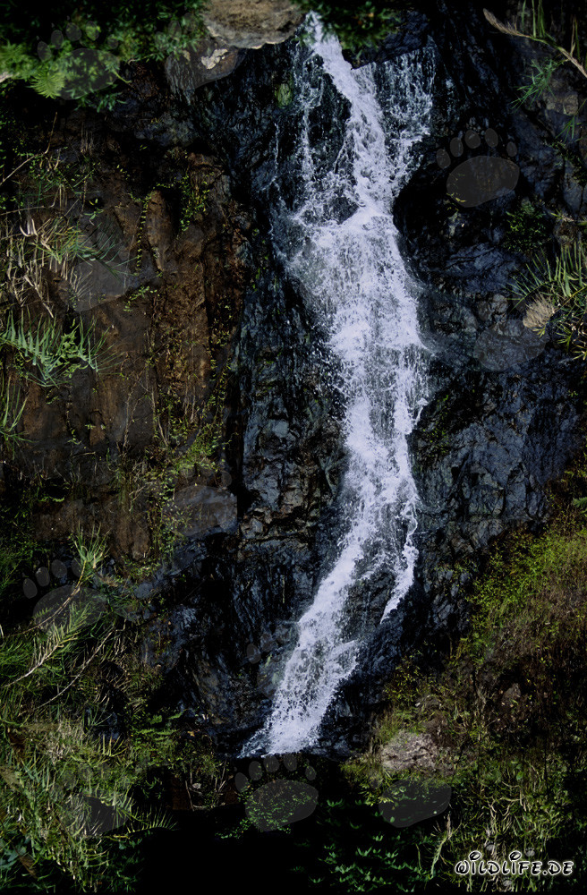 Cascada majestuosa en la exuberante selva de Viti Levu, Fiyi
