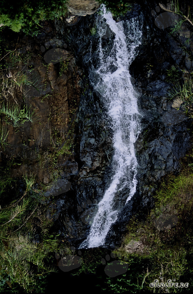 wasserfall