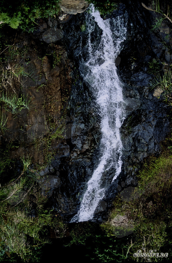 Majestic Waterfall in the Lush Rainforest of Viti Levu, Fiji