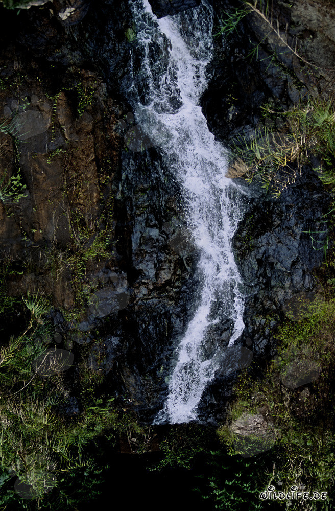 Beautiful Waterfall in the Lush Rainforest of Fiji
