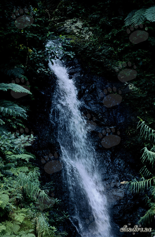 wasserfall