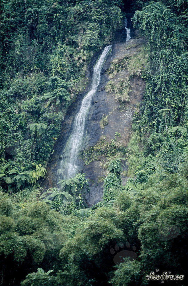 wasserfall