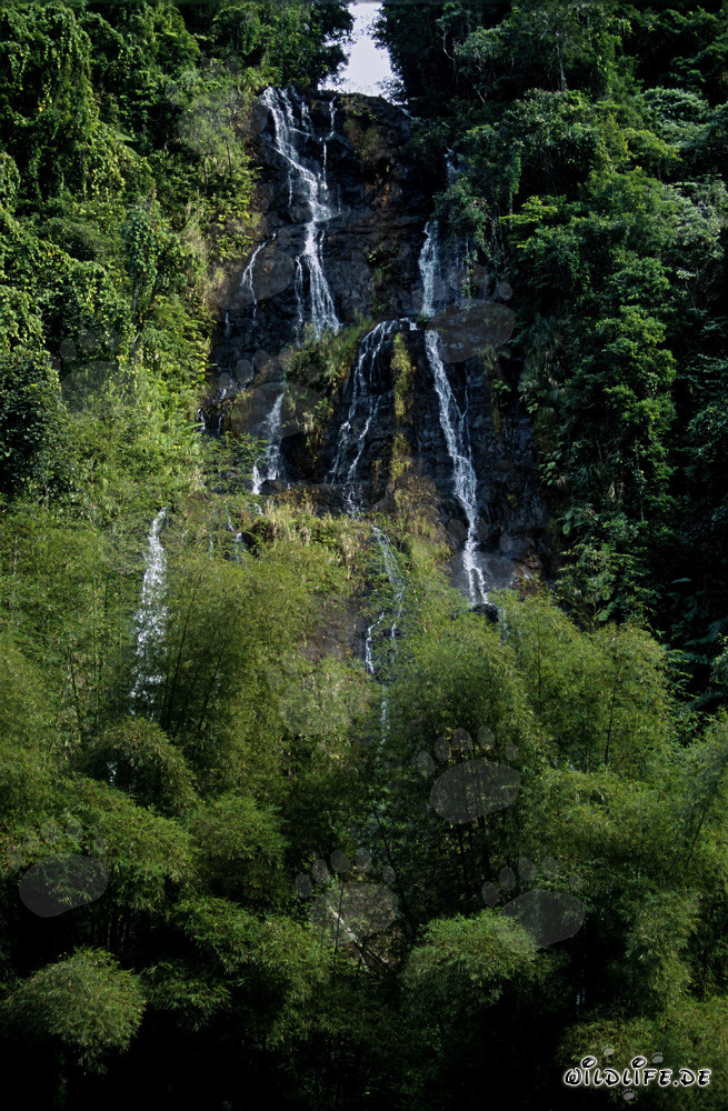 wasserfall