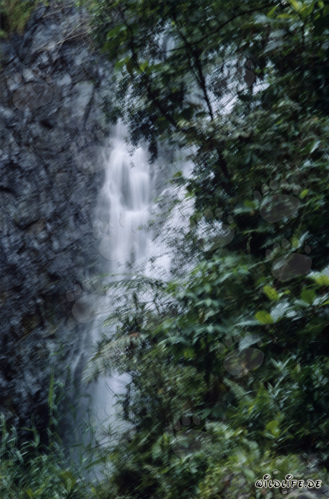 wasserfall