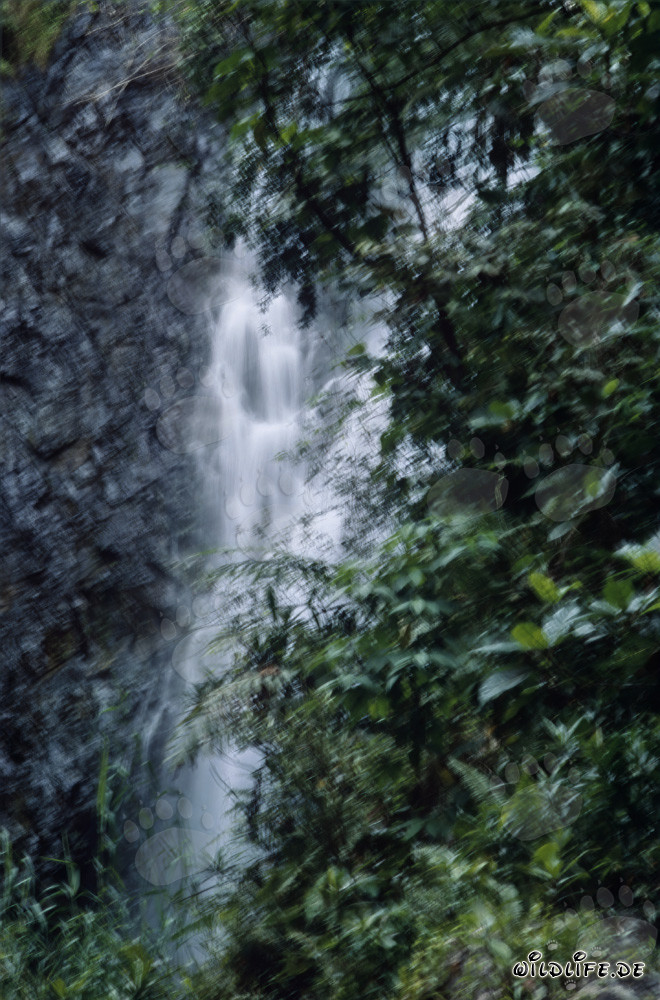 Majestic Waterfall in the Lush Rainforest of Fiji
