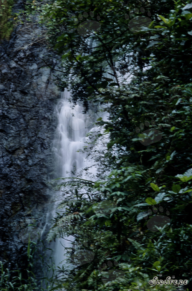 wasserfall