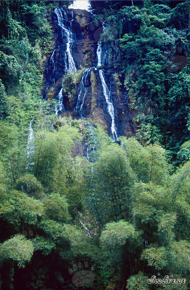 wasserfall