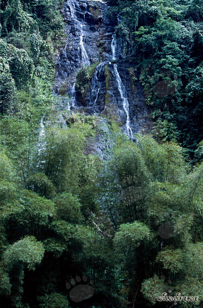 wasserfall