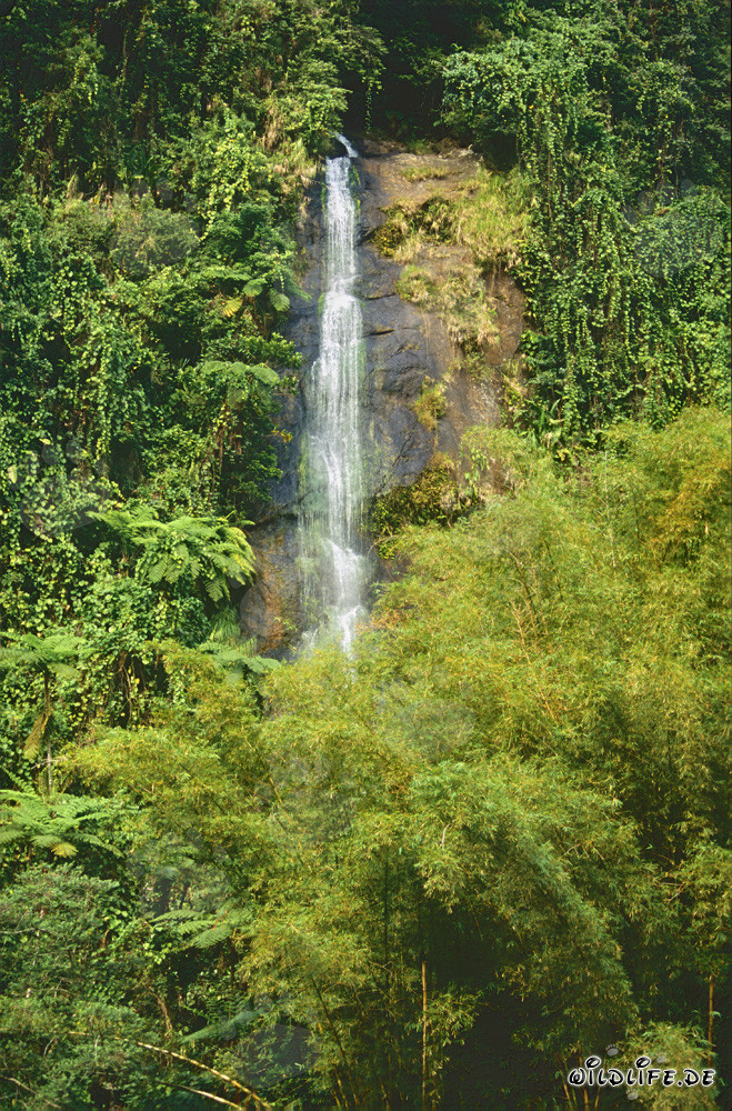 Cascada majestuosa en la exuberante selva de Fiji