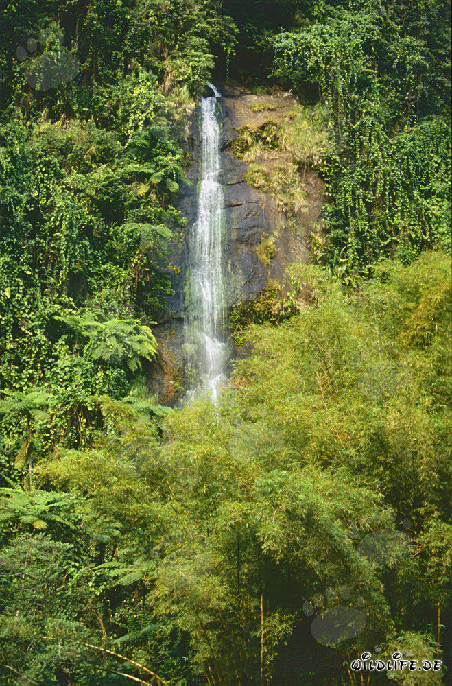 wasserfall