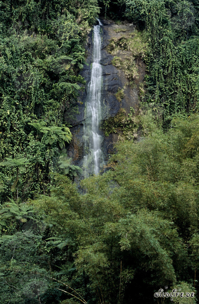 wasserfall