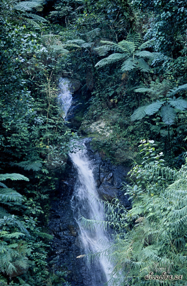 wasserfall
