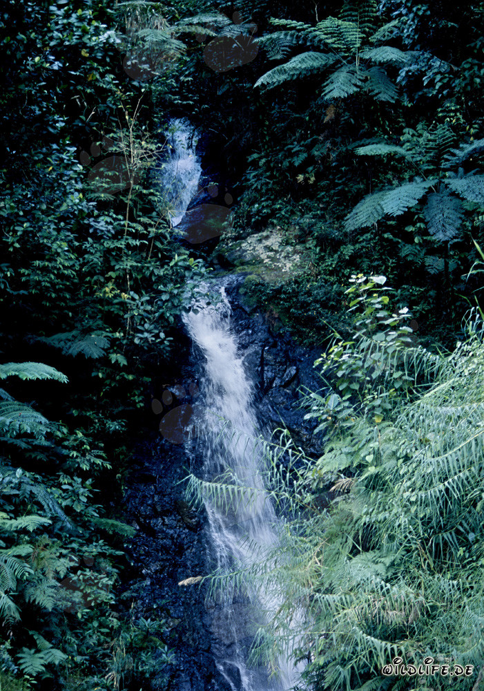 wasserfall