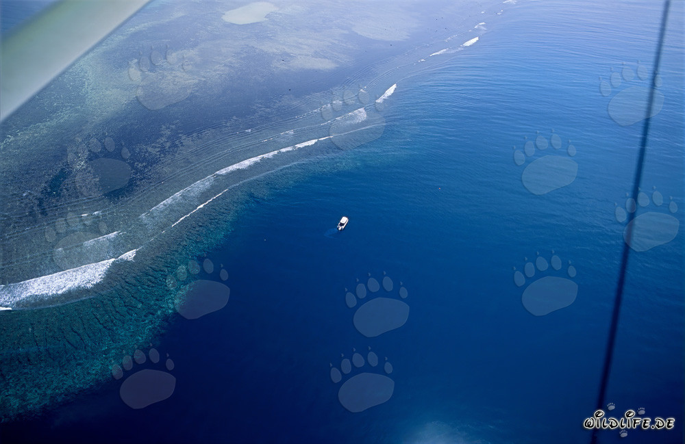 Vista aérea del submarino en Shark Reef en el lagoon de Beqa, Fiji