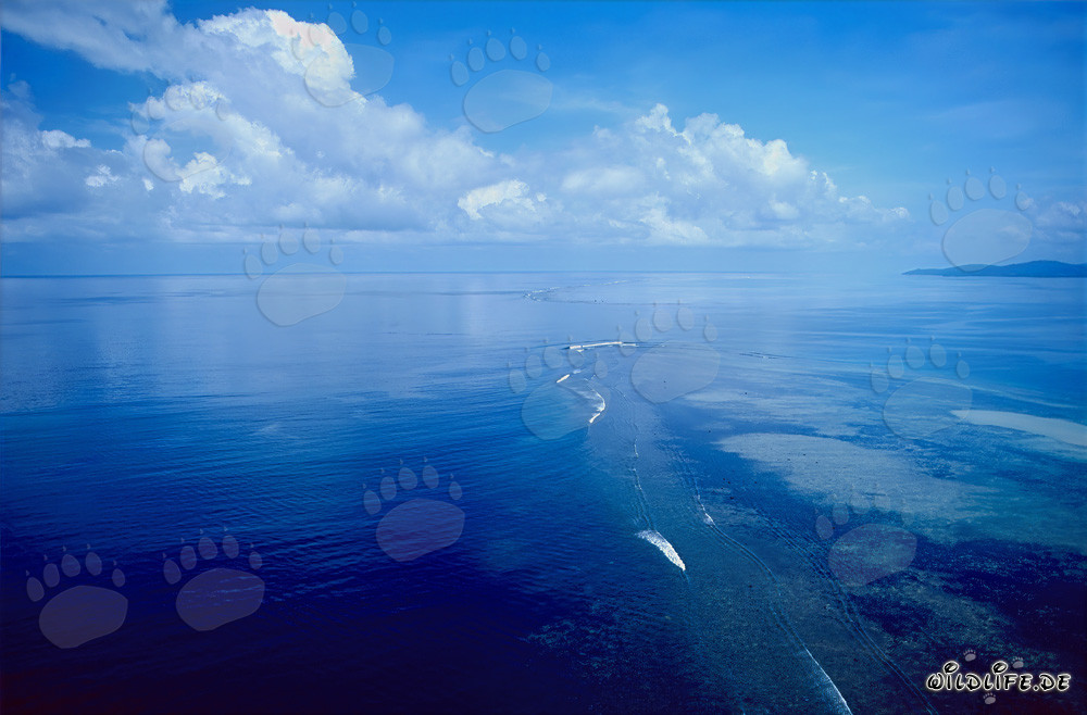 Aerial view of Shark Reef with stunning clouds background