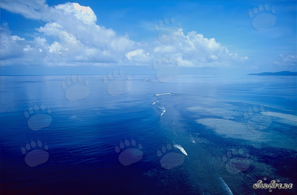 Luftaufnahme des Shark Reefs mit beeindruckendem Wolkenhintergrund
