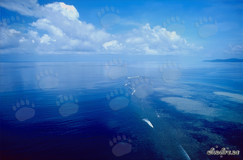 Scatto aereo dello Shark Reef con uno sfondo di nuvole impressionante