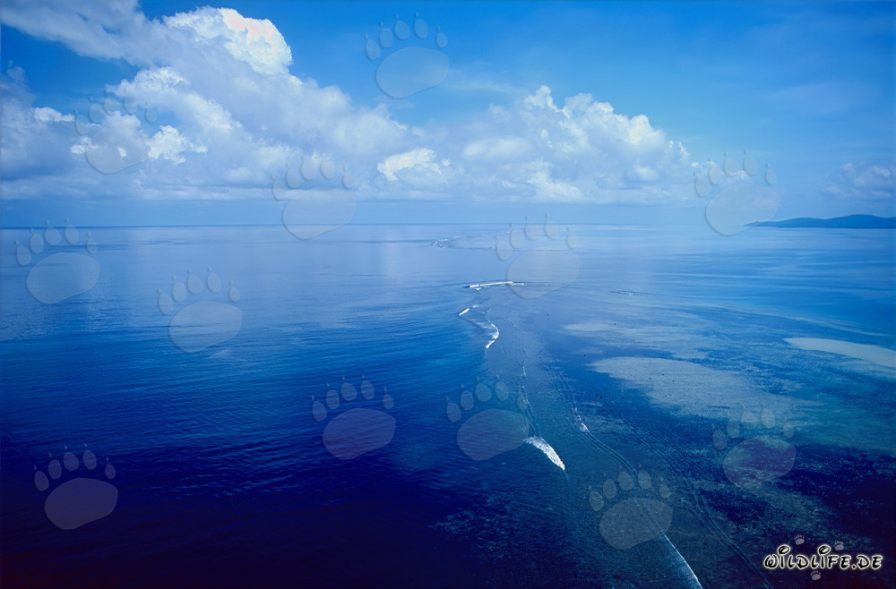 Toma aérea del Shark Reef con un impresionante fondo de nubes